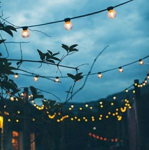 Meet your Posher, Dacia